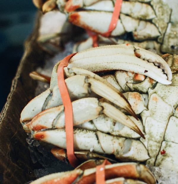 Fresh crab on ice at a fish market counter