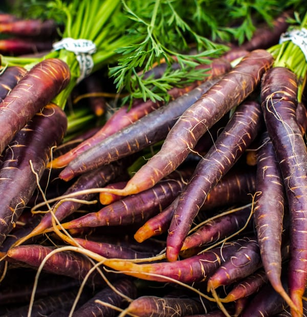 Bunches of purple carrots on a farmers market stall