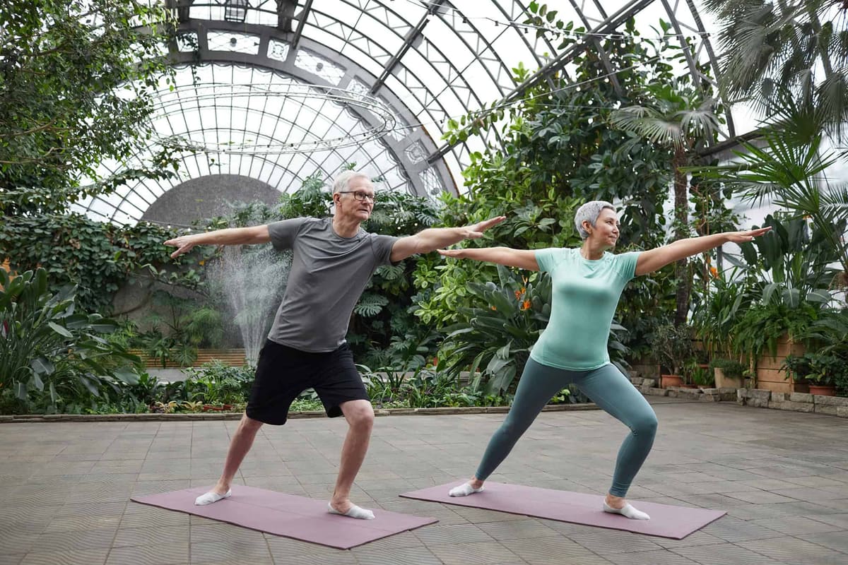 An older man and woman holding a warrior yoga pose on mats inside a glass greenhouse